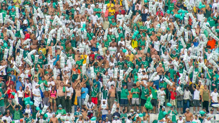 奇异果体育 APP — 营业执照与资质公示示意配图